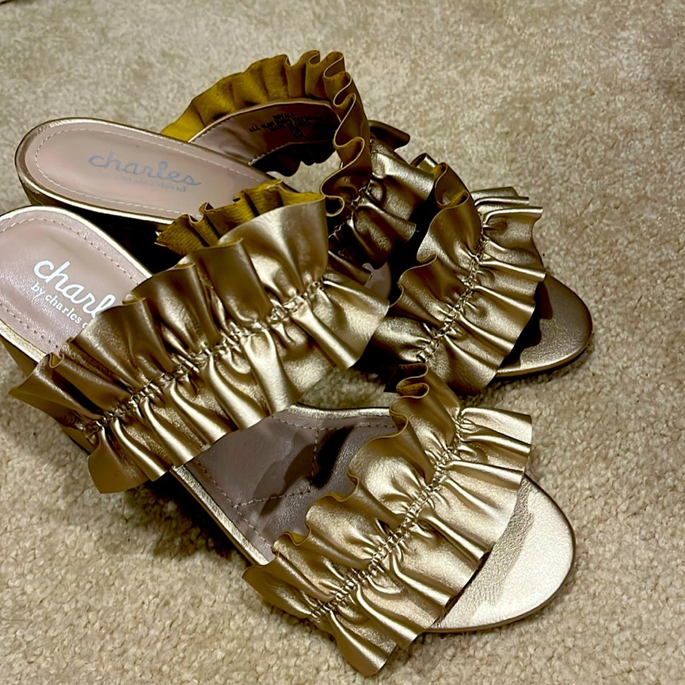 Charles by Charles David beautiful shoes